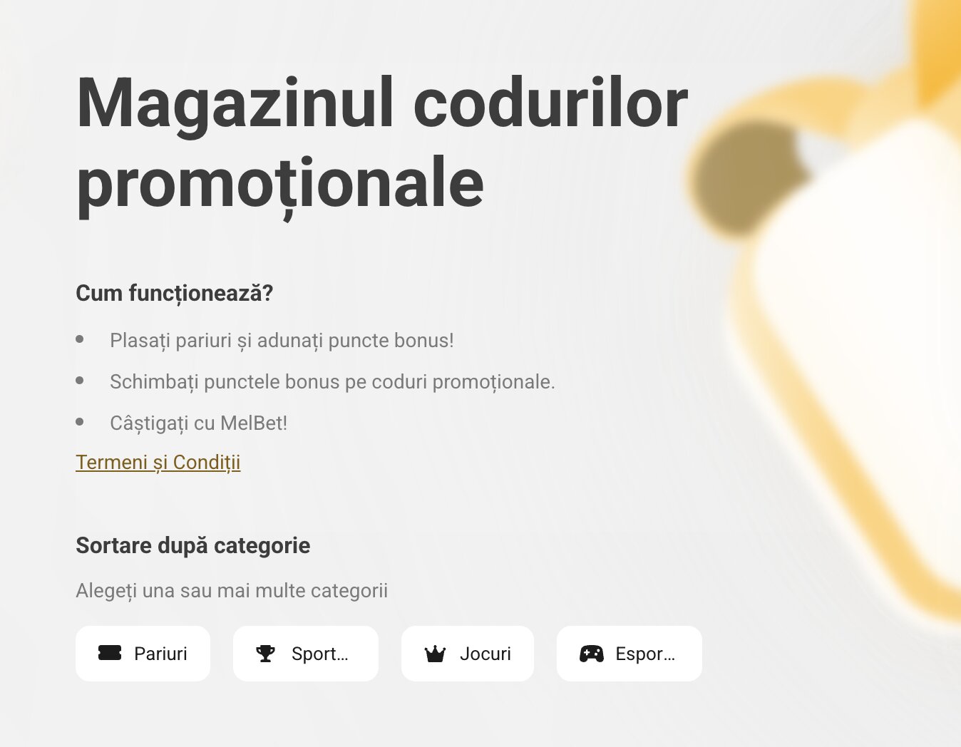 Magazinul codurilor promoționale